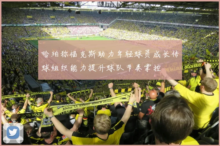 哈珀称福克斯助力年轻球员成长传球组织能力提升球队节奏掌控