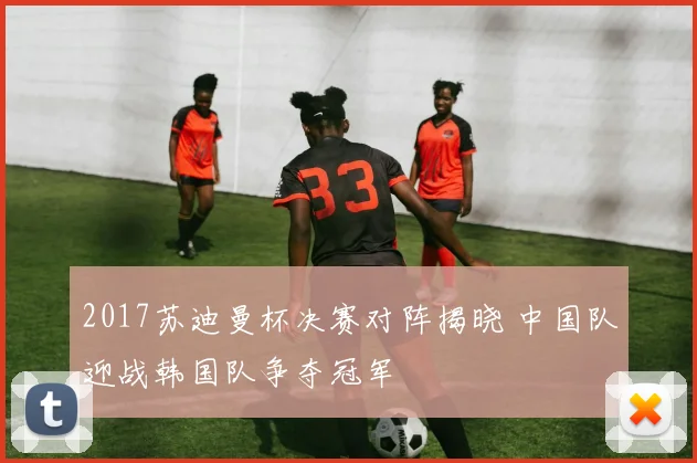 2017苏迪曼杯决赛对阵揭晓 中国队迎战韩国队争夺冠军