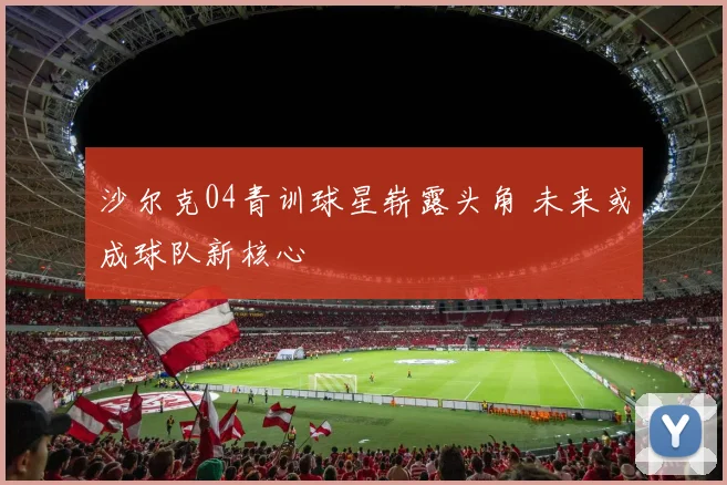 沙尔克04青训球星崭露头角 未来或成球队新核心